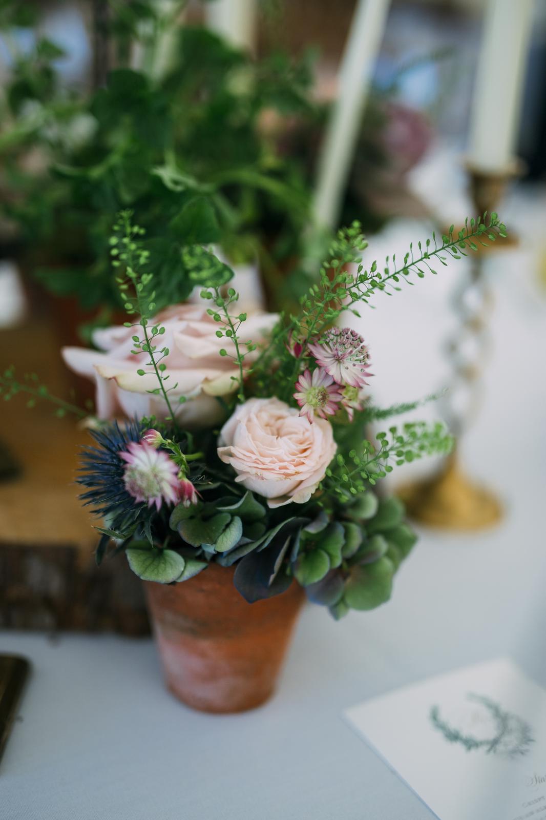 Vintage Terracotta Pots