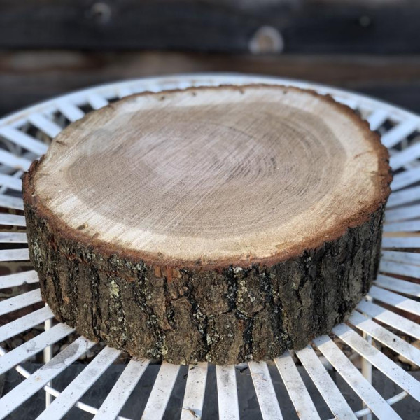 Tree Stump Stand2