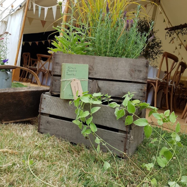 Vintage Wooden Crates 4