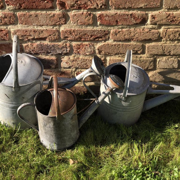 Watering Cans Cover 2