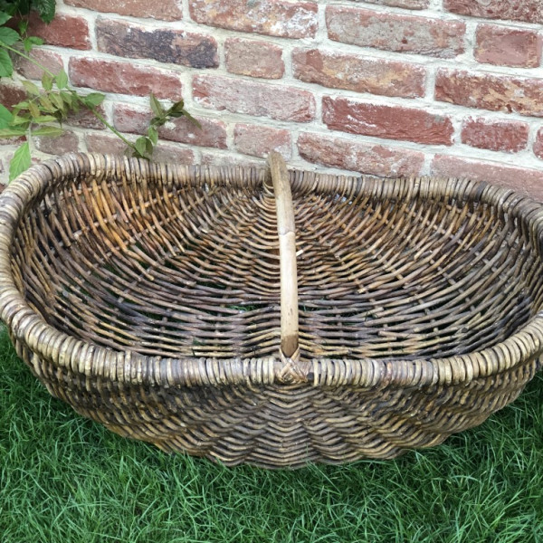 basket2 Medium